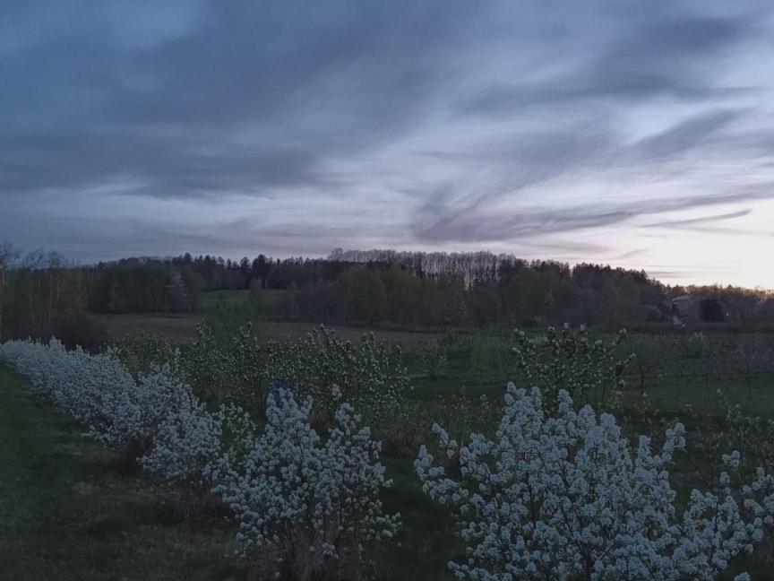 E Berry Farm - Slow Life Kaluzna Eksteriør bilde